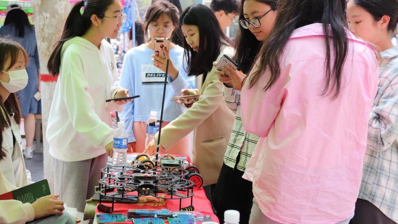 大数据分析公司代理条件：揭秘企业选择之道